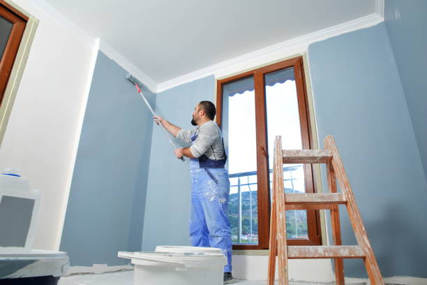 Best Post-Construction Mold Inspection  in Riverton, IL