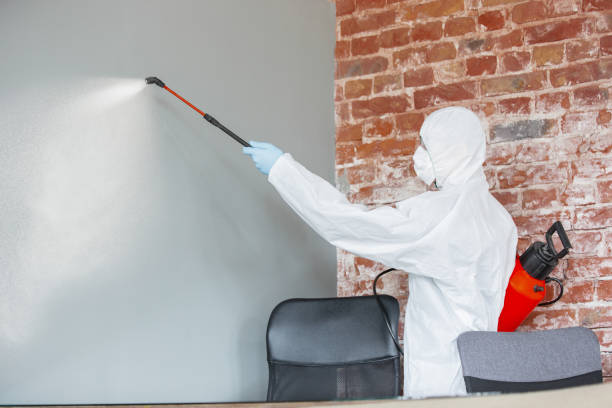 Best Real Estate Mold Inspection  in Riverton, IL