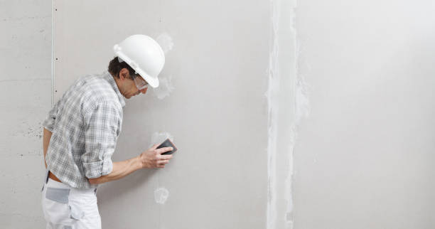 Best Black Mold Removal  in Riverton, IL