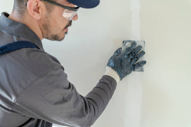 Best Industrial Mold Remediation  in Riverton, IL