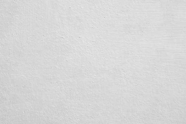 Best Basement Mold Removal  in Riverton, IL