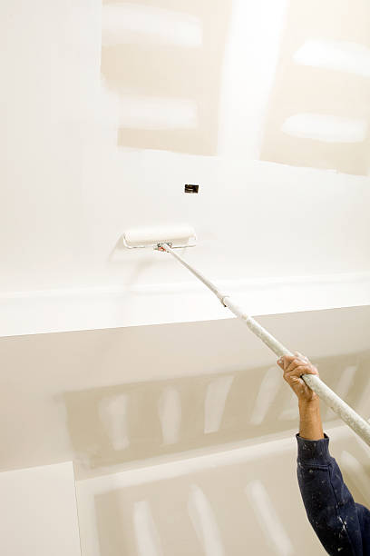 Best Mold Damage Restoration  in Riverton, IL