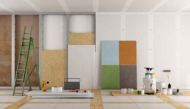 Best Attic Mold Removal  in Riverton, IL
