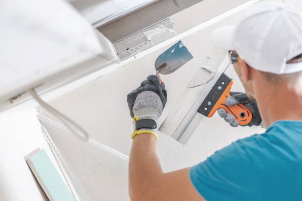 Best HVAC Mold Inspection and Cleaning  in Riverton, IL